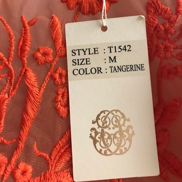 New Candella Orange Top sheer lace Tangerine, Sexy, club, party, cute, bright - Picture 3 of 12